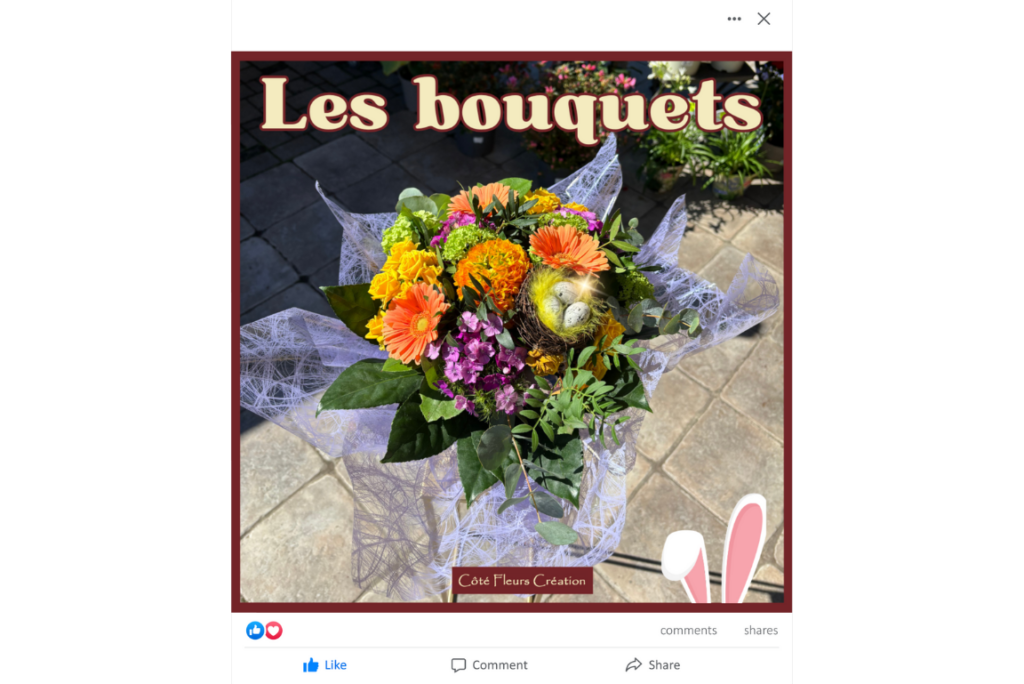 L'agence Aurezo, agence de marketing et communication à roanne réalise vos visuels sur les réseaux sociaux